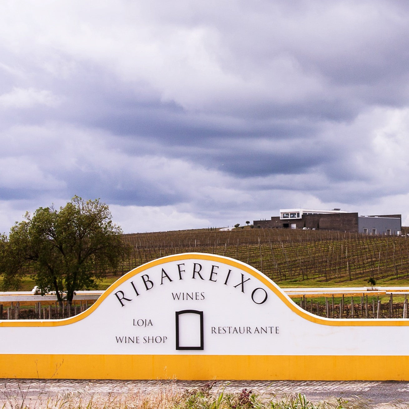 Grupo vinícola e de enoturismo começou no Douro e expande-se no Alentejo.